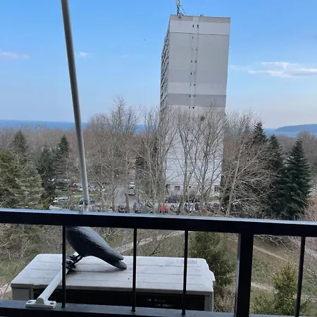 Apartment Апартамент Чайка